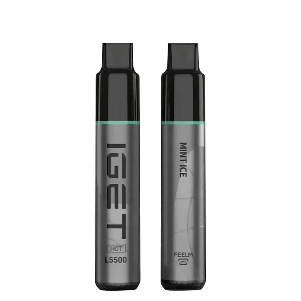 IGET HOT - Mint Ice (5500 Puffs)